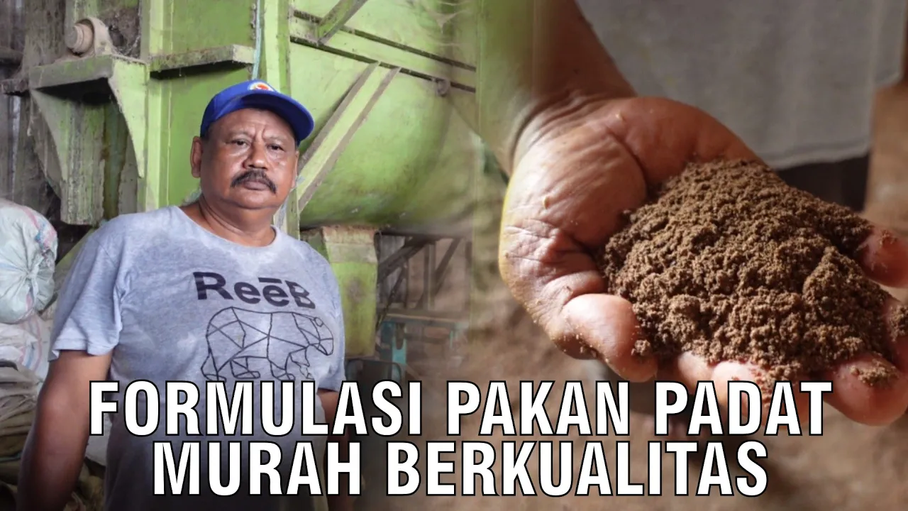 
                                 Formulasi-Pakan-Padat-Murah-Kualitas-Tidak-Murahan